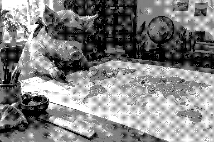 A blindfolded pig drawing a tiled map of Earth on a large sheet of paper.
